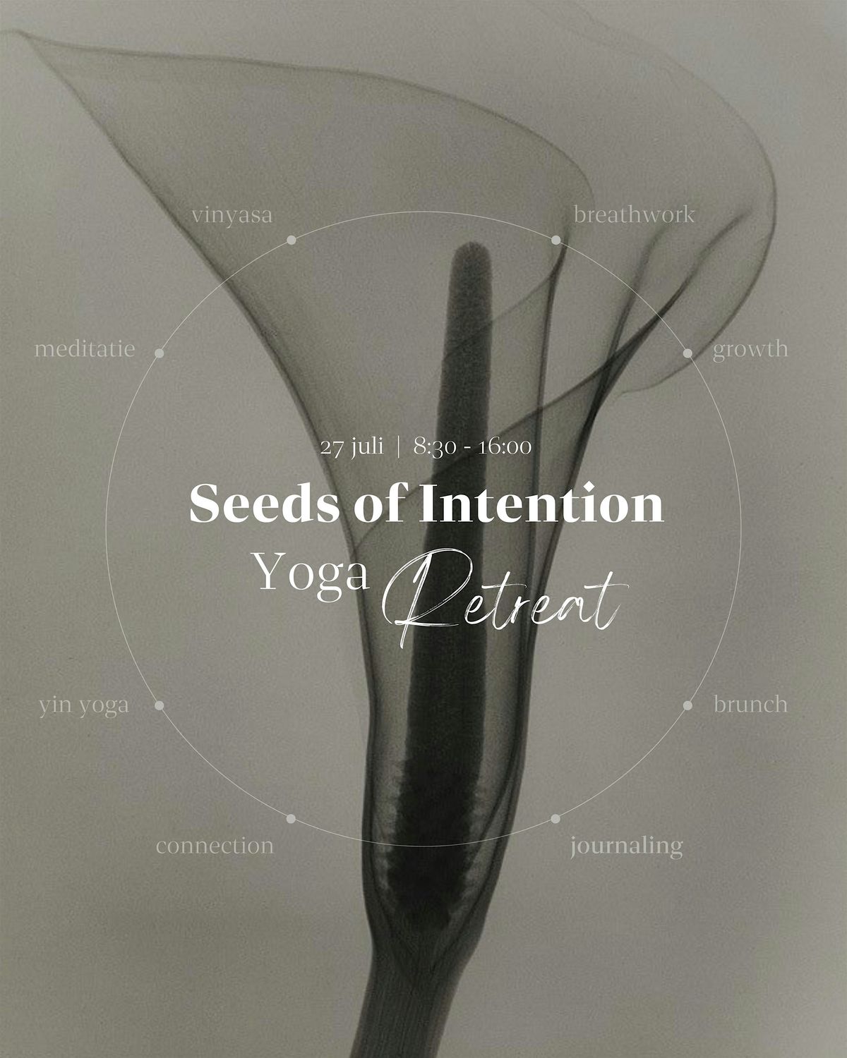 Seeds of Intention, 27 July | Event in Berg en Terblijt | AllEvents