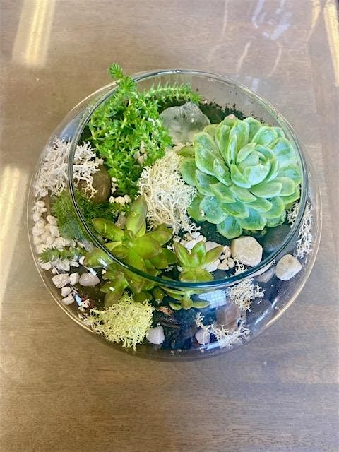 Succulent Terrarium Workshop, 10 June | Event in Bristol | AllEvents