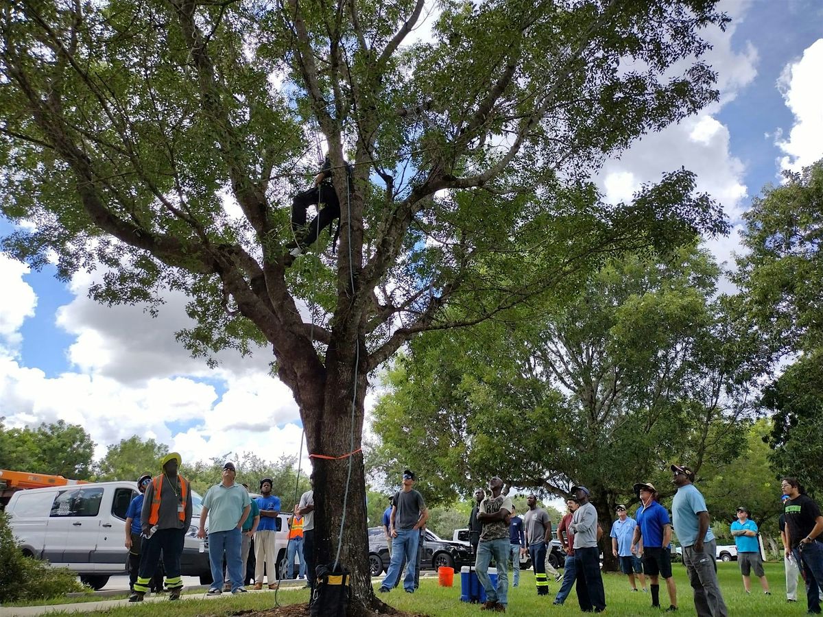 ADVANCED Tree Trimmer Certification - SPANISH, 16 May | Event in Weston | AllEvents