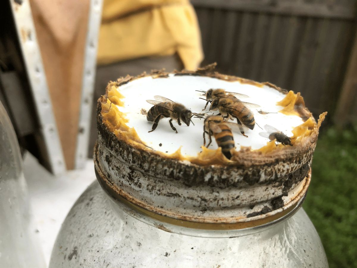 Fall 2025 Beginner Beekeeper's Short Course, 27 September | Event in Green Cove Springs | AllEvents