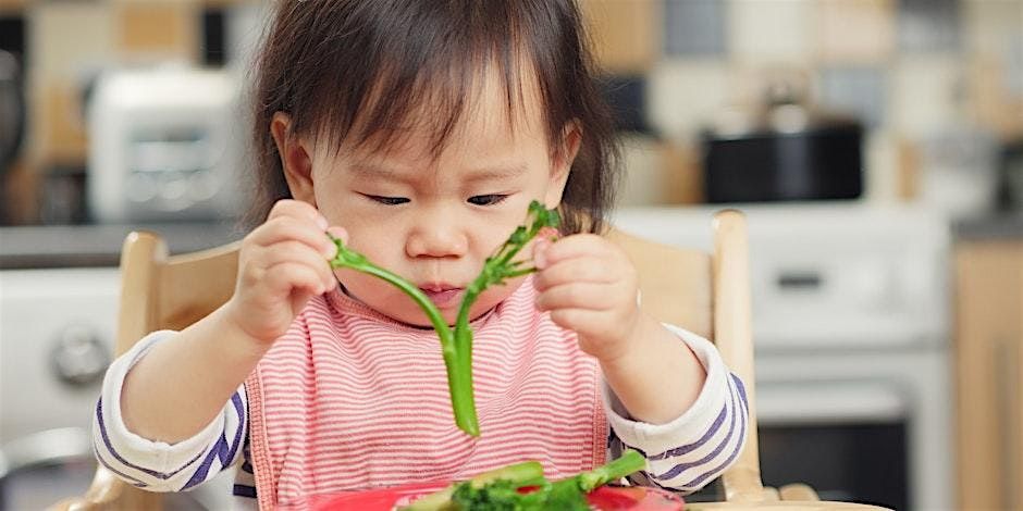Introduction to Solid Foods Workshop, 25/10/2025, 25 October | Event in Hitchin | AllEvents