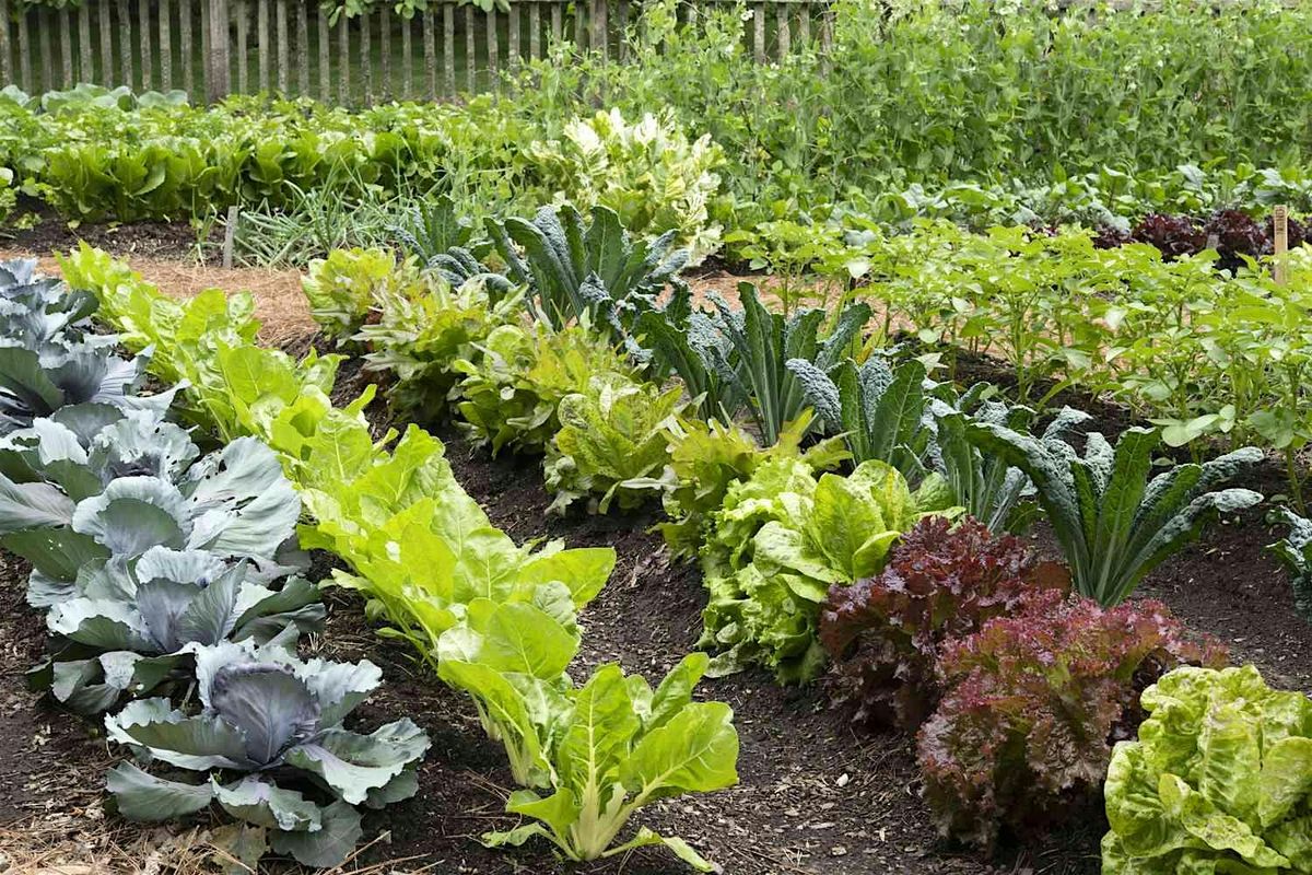 Community Garden Opening Ceremony, 10 May | Event in Egg Harbor Township | AllEvents