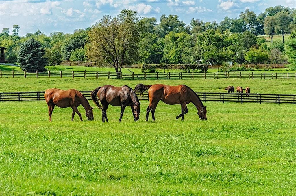 Equine Pasture Management Workshop, 19 August | Event in Concord | AllEvents