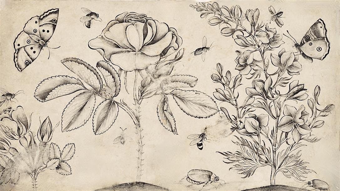 The Botanical Still Life: Graphite Workshop (Ages 18+) - 2 Sessions, 26 July | Event in Arlington | AllEvents