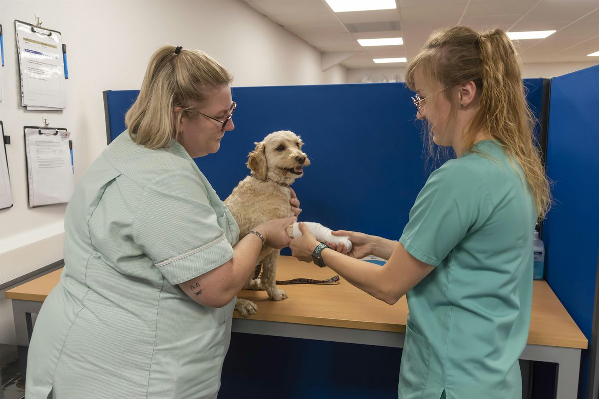 Mock OSCE Day 5th September 2025, 5 September | Event in Dorchester | AllEvents