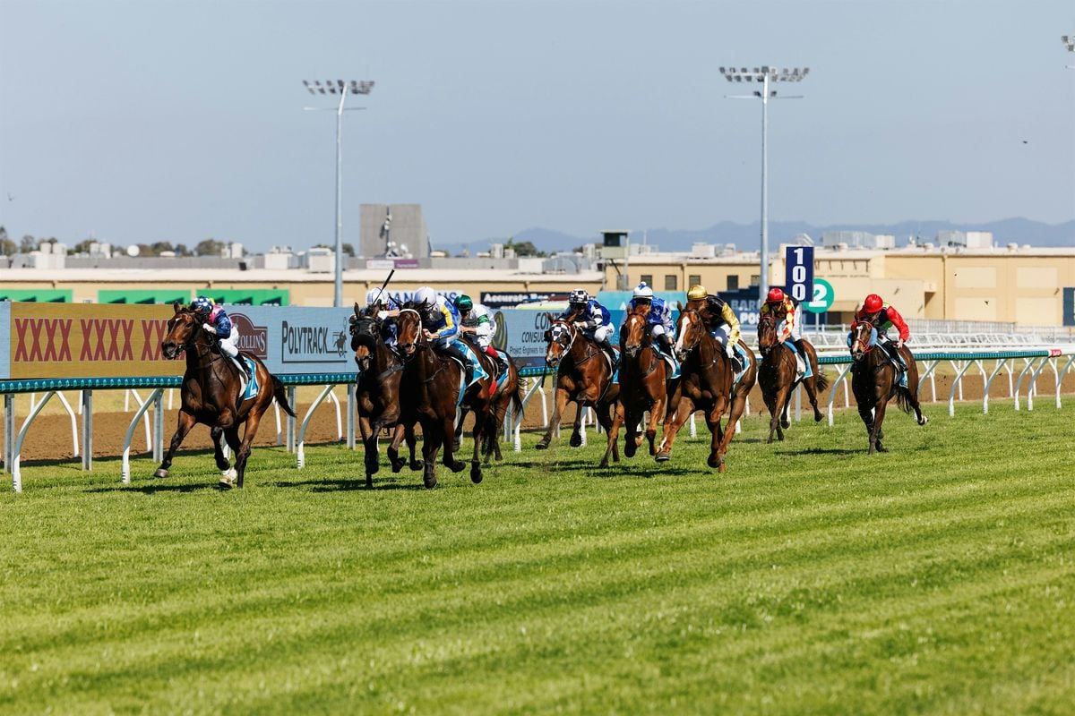 Infinity Constructions QLD Raceday, 6 December | Event in Bundall | AllEvents