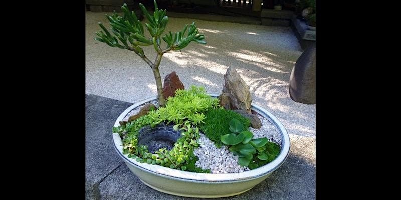 Miniature Japanese garden workshop, 10 January | Event in West End | AllEvents