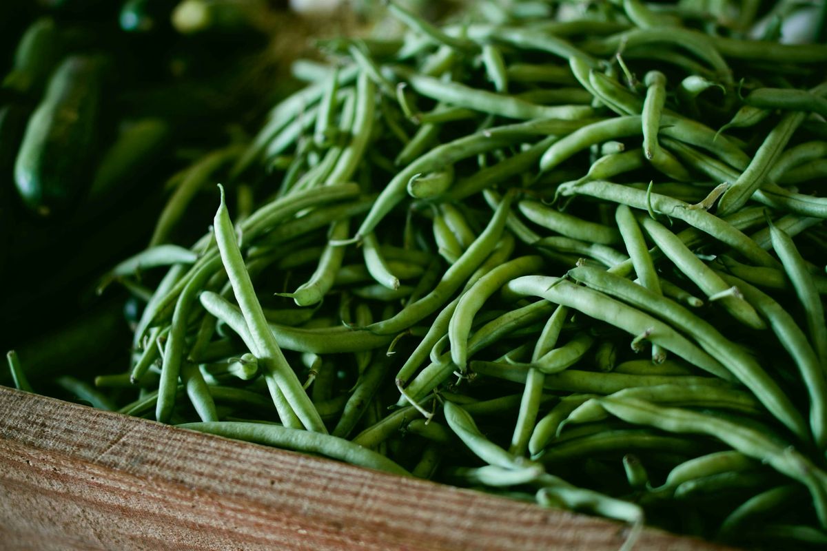 Pressure Canning - Nash (Evening), 8 July | Event in Nashville | AllEvents