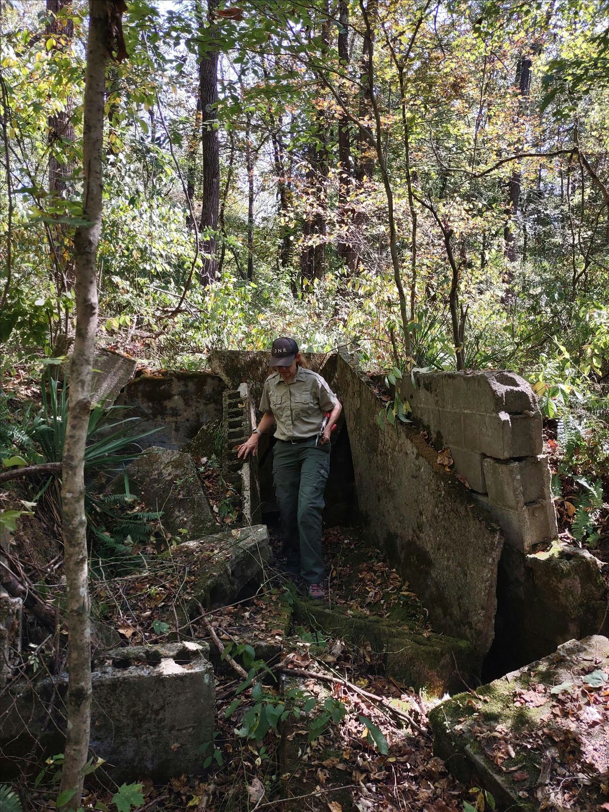 Archaeology Site Prep: Volunteer Workday, 22 August | Event in Bloomington | AllEvents