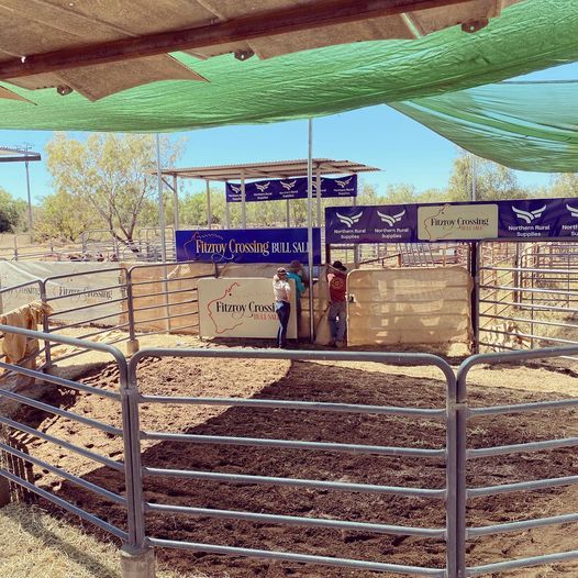2021 NRS Fitzroy Bull Sale, Fitzroy Crossing, Western Australia, August