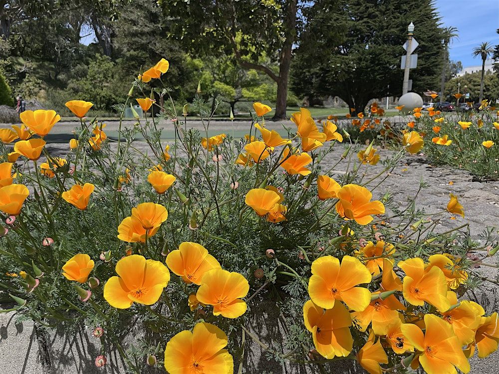 Forage and Draw, 1 June | Event in San Francisco | AllEvents
