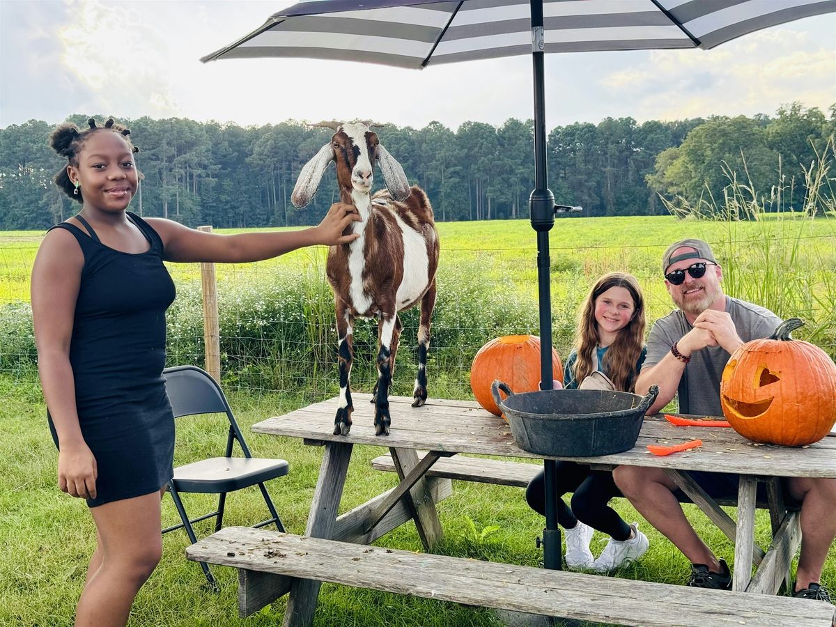 Pumpkin Carving with Goats!, 18 October | Event in Fremont | AllEvents