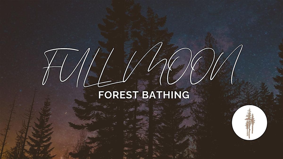 Full Moon Forest Bathing Walk, 7 November | Event in Leduc County | AllEvents