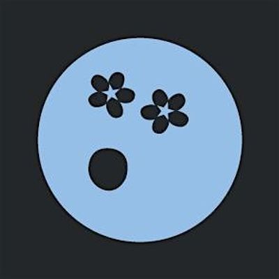 Nocturne Events logo