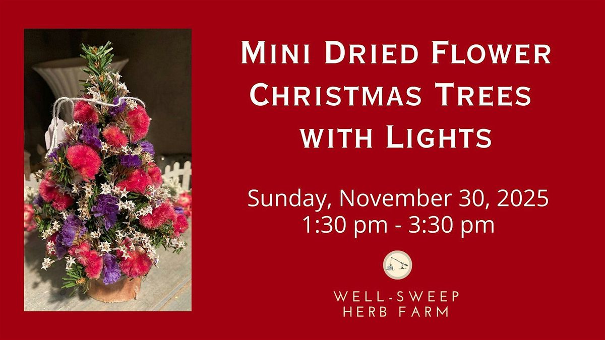 Mini Dried Flower Christmas Trees with Lights, 30 November | Event in Port Murray | AllEvents