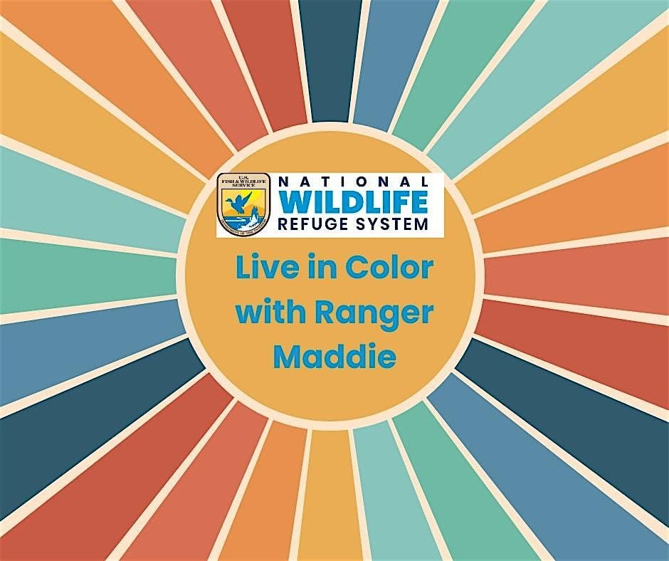Live in Color with Ranger Maddie, 31 July | Event in Detroit | AllEvents