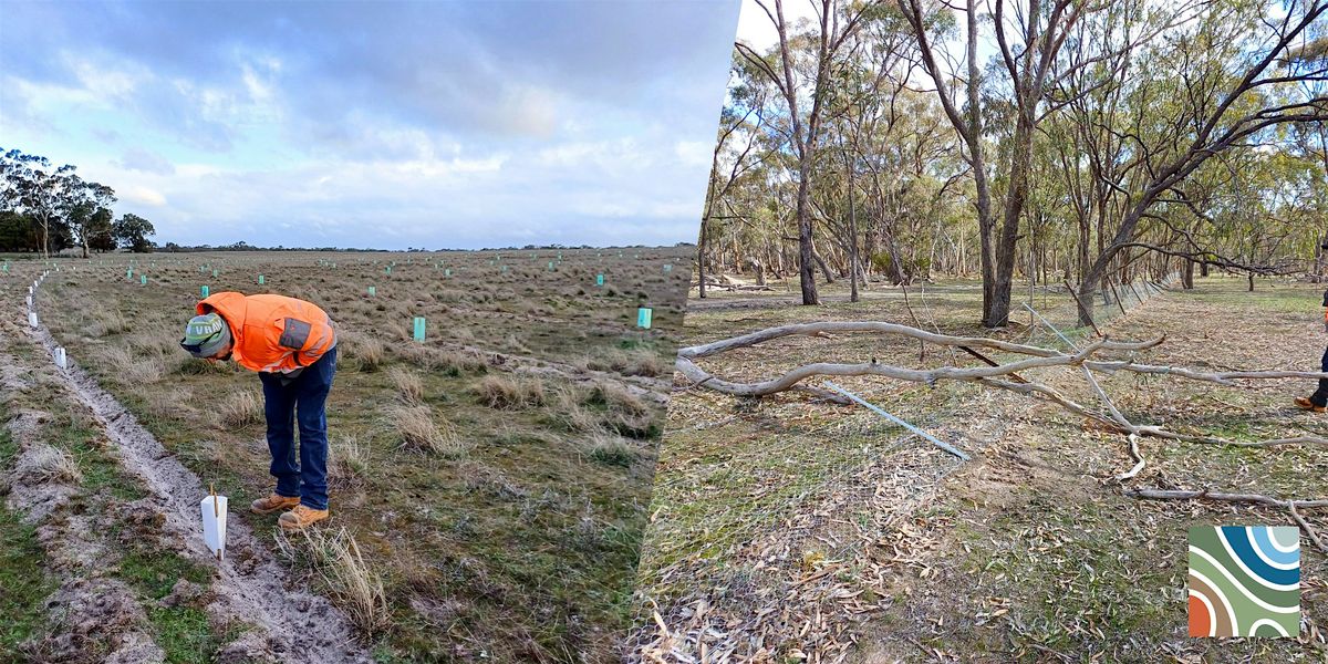 BushBank Walk & Talk: Environmental Restoration in Peronne, 16 October | Event in Peronne | AllEvents