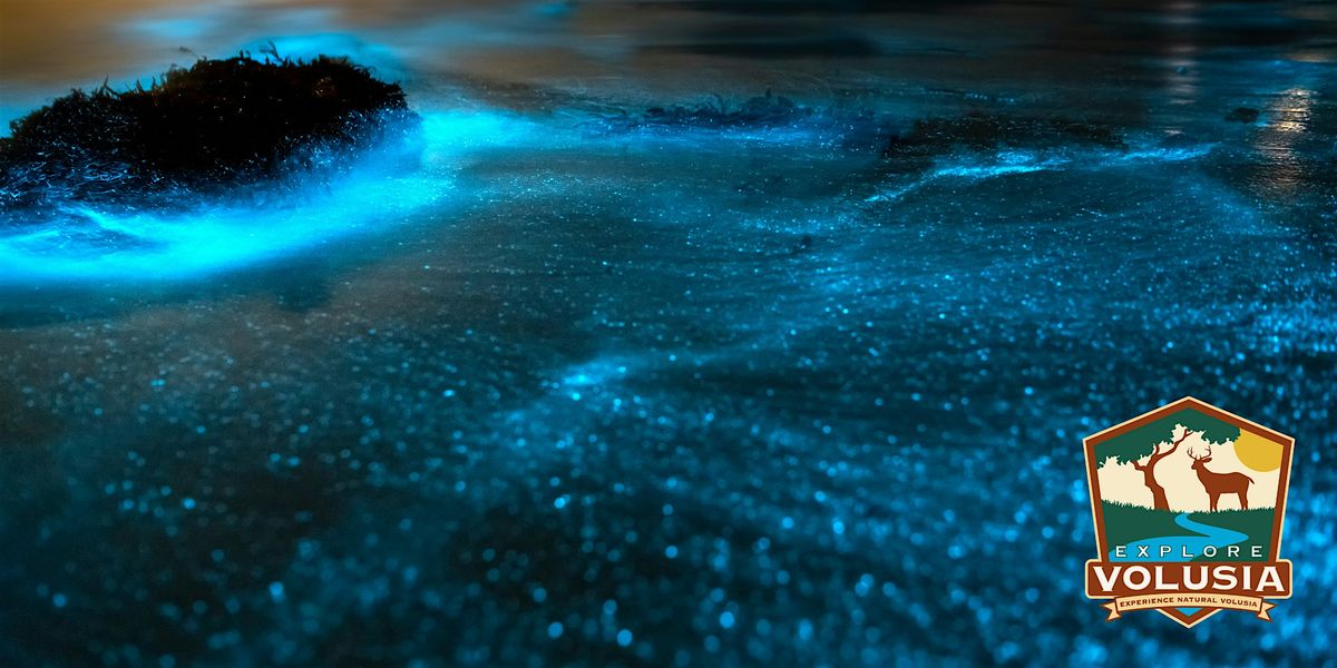 Bioluminescence Paddle, 19 August | Event in Oak Hill | AllEvents