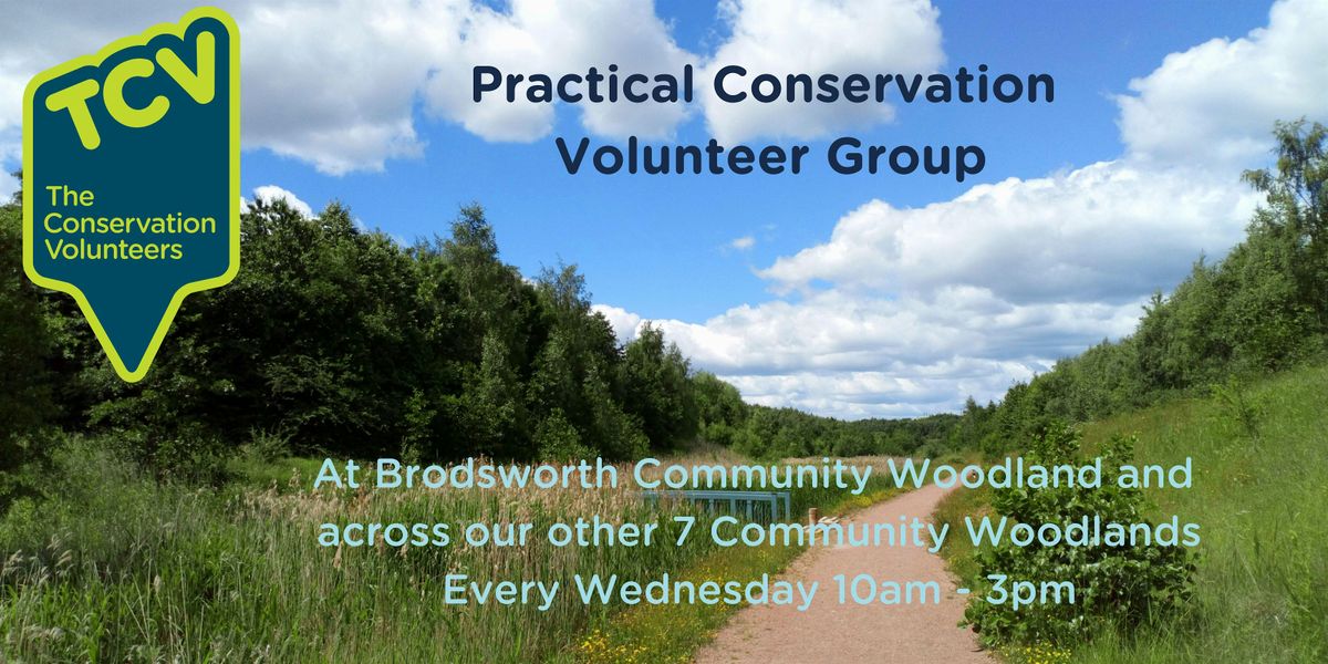 Practical Conservation Volunteer Group at Brodsworth Community Woodland, 29 October | Event in Doncaster | AllEvents