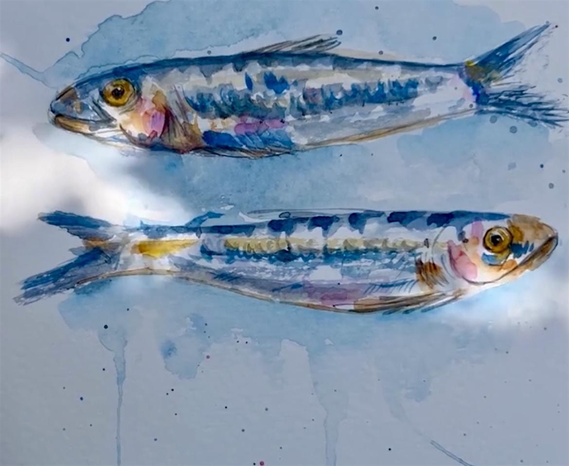 Watercolor Class: Learn to Paint Sardines, 19 July | Event in Oakton | AllEvents