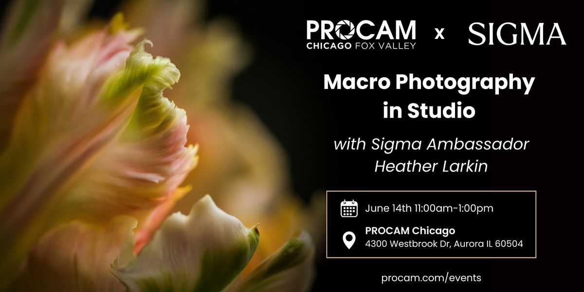 Macro Photography in Studio with Sigma Ambassador, Heather Larkin, 14 June | Event in Aurora | AllEvents