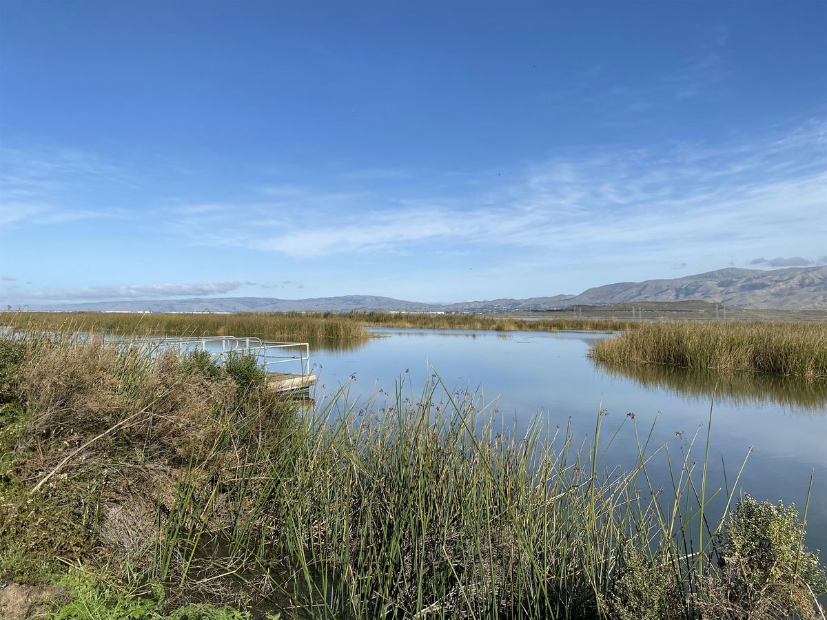 Why Tides Matter, 14 September | Event in San Jose | AllEvents