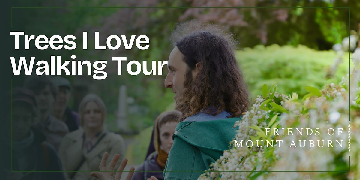 Trees I Love Walking Tour, 5 June | Event in Cambridge | AllEvents