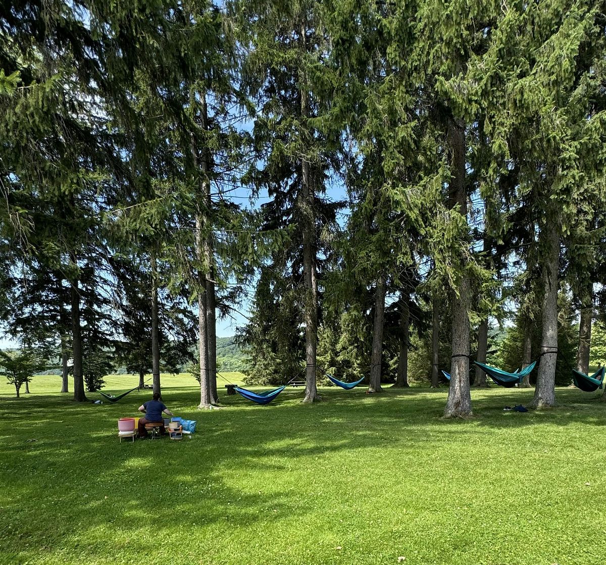 Sound Bath + Tea, 24 August | Event in Hemlock | AllEvents