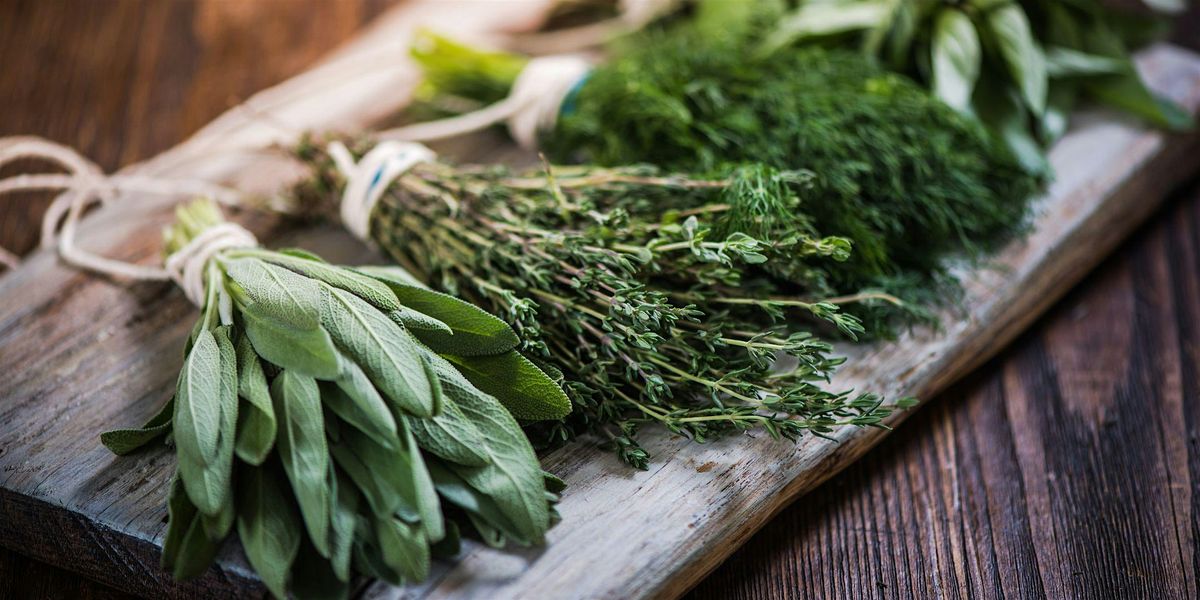 Growing & Cooking with Herbs, 24 June | Event in Lakeland | AllEvents