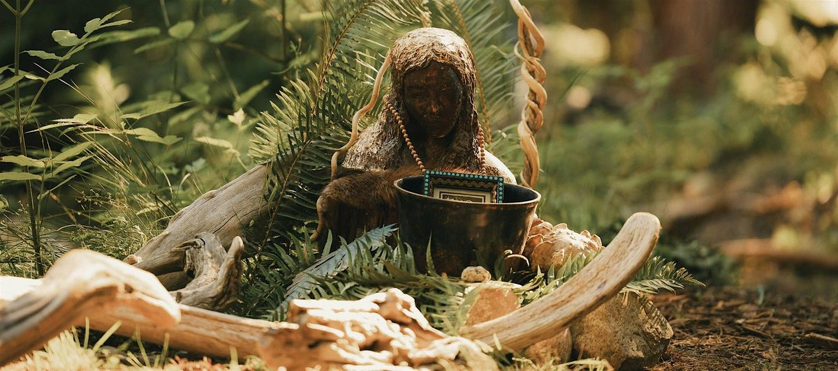 Forest Bathing Fridays, 21 November | Event in Kenmore | AllEvents