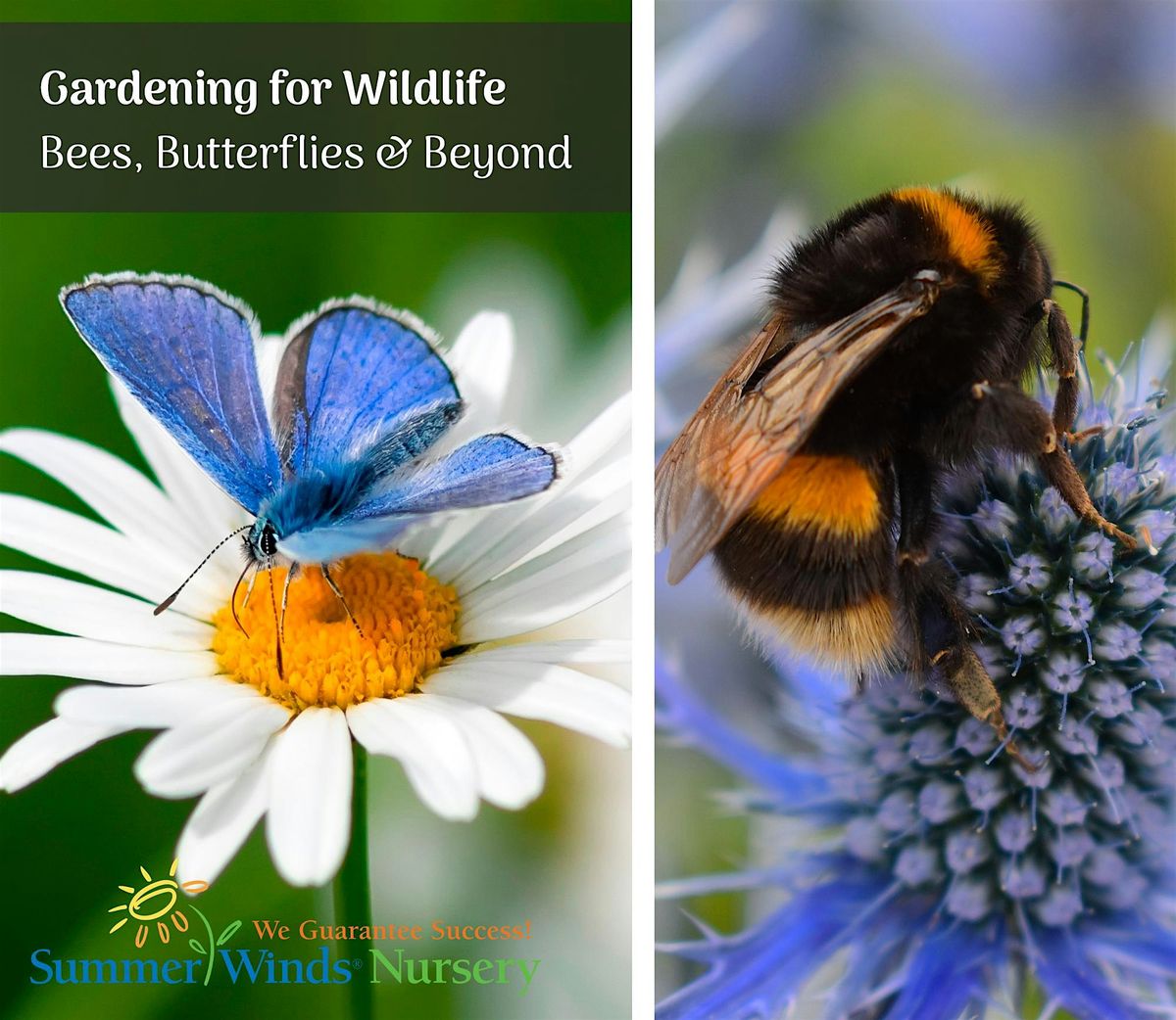 Gardening for Wildlife: Bees, Butterflies & Beyond  - Palo Alto, 18 May | Event in Palo Alto | AllEvents