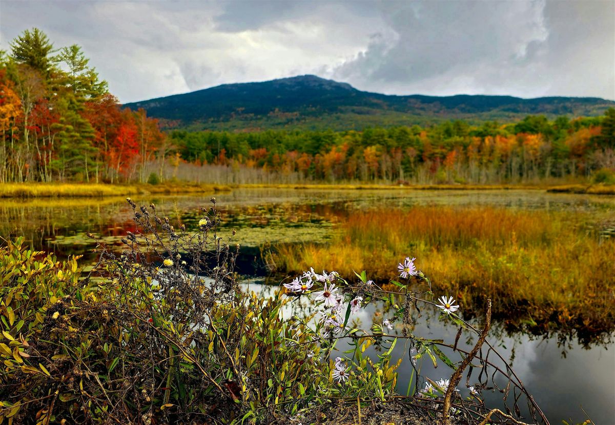 Monadnock Region Natural History Conference, 15 November | Event in Keene | AllEvents
