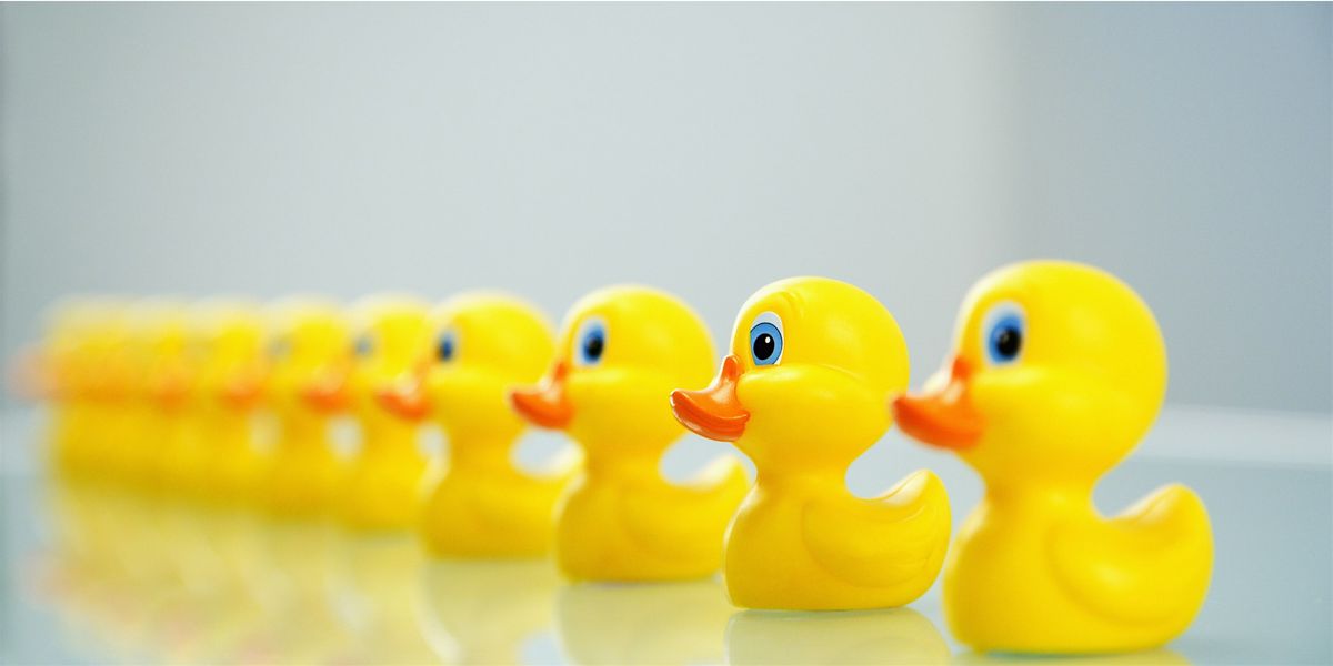 You've written a will but are all your Ducks in a Row?, 9 March | Event in Saskatoon | AllEvents