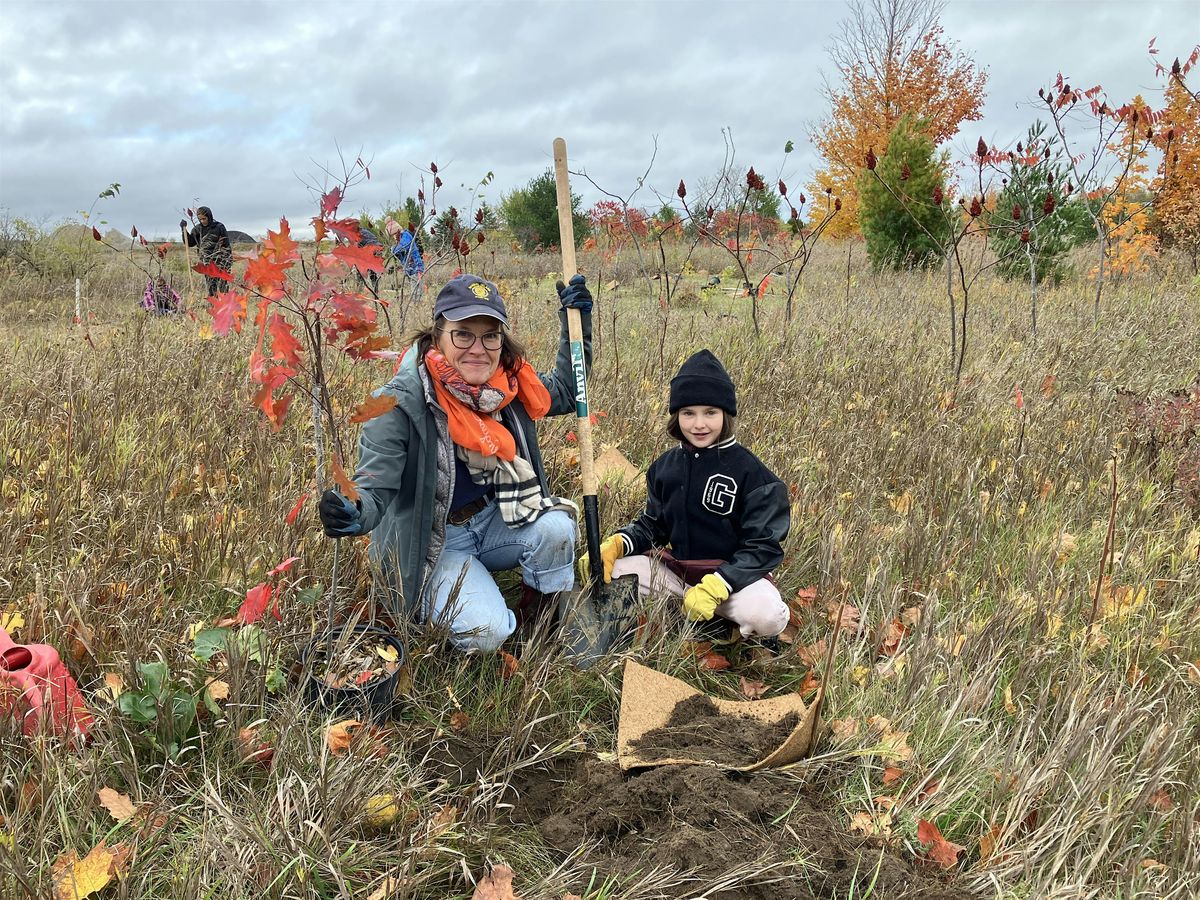 Autumn Circle Tree Planting, Autumn Circle, Halton Hills, 17 October ...