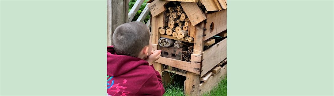 Minibeast house build, 18 October | Event in Frosterley | AllEvents