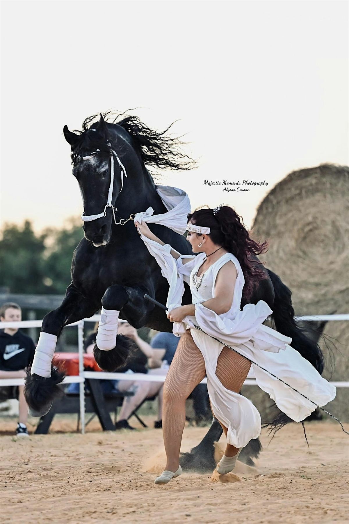 Dream Horse Journey, 17 October | Event in Clermont | AllEvents