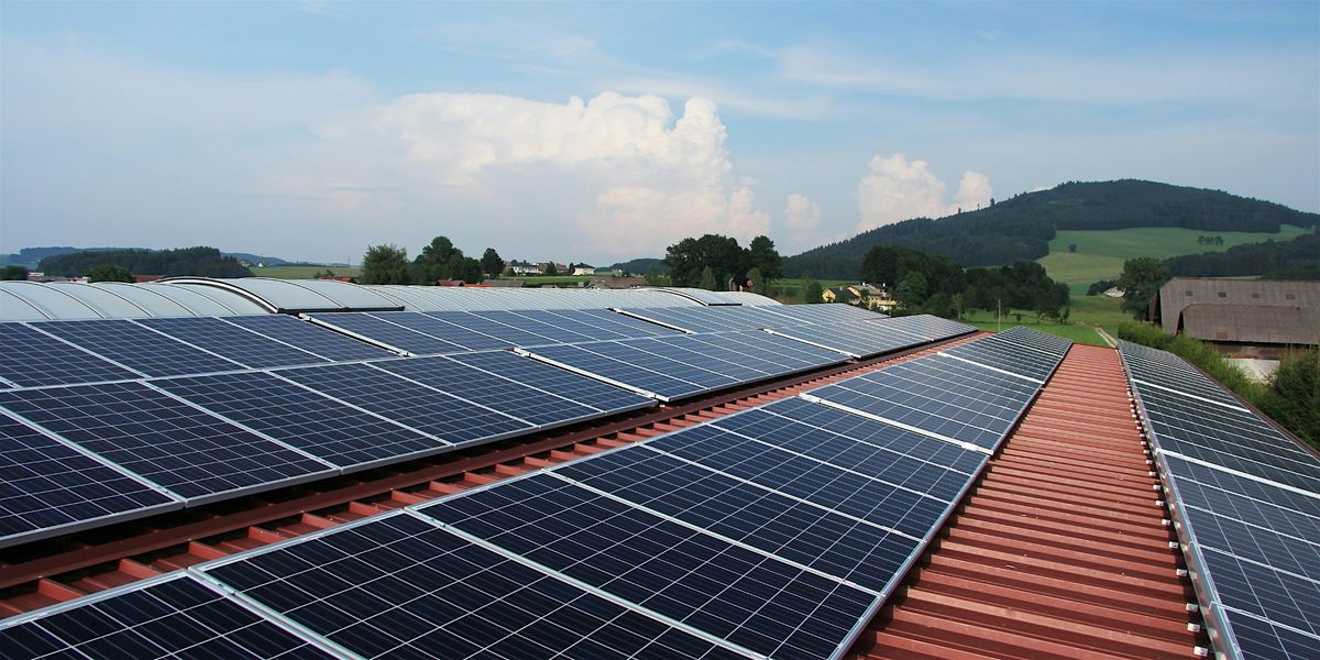 Nature Talks: Community Energy Zones, 16 October | Event in Shellharbour City Centre | AllEvents