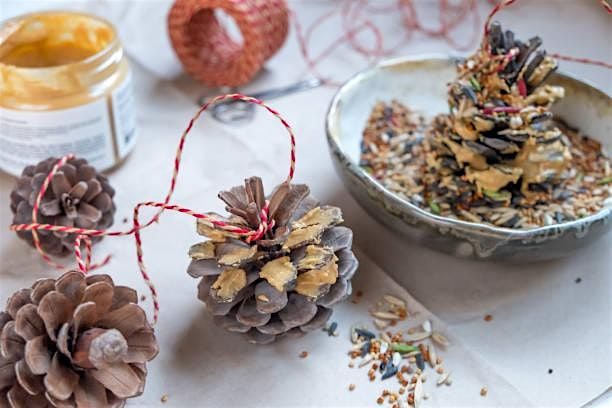 Pine Cone Bird Feeders, 9 December | Event in Detroit | AllEvents