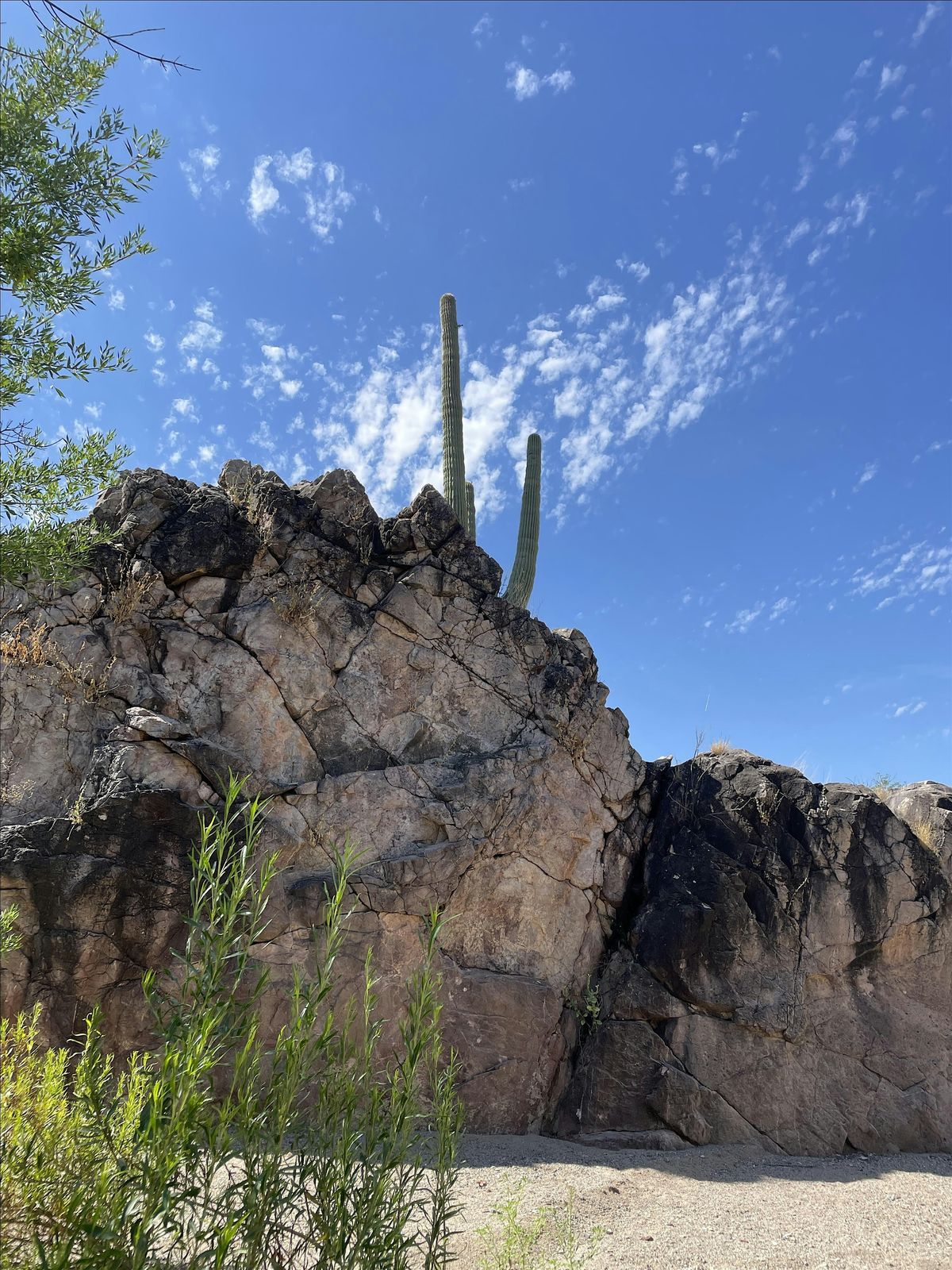 Spring Cleaning at Davidson Canyon (Sept. 7), 7 September | Event in Vail | AllEvents