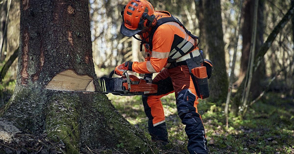 Managing Your Backyard Woodlot Safely, 20 August | Event in Alstead | AllEvents