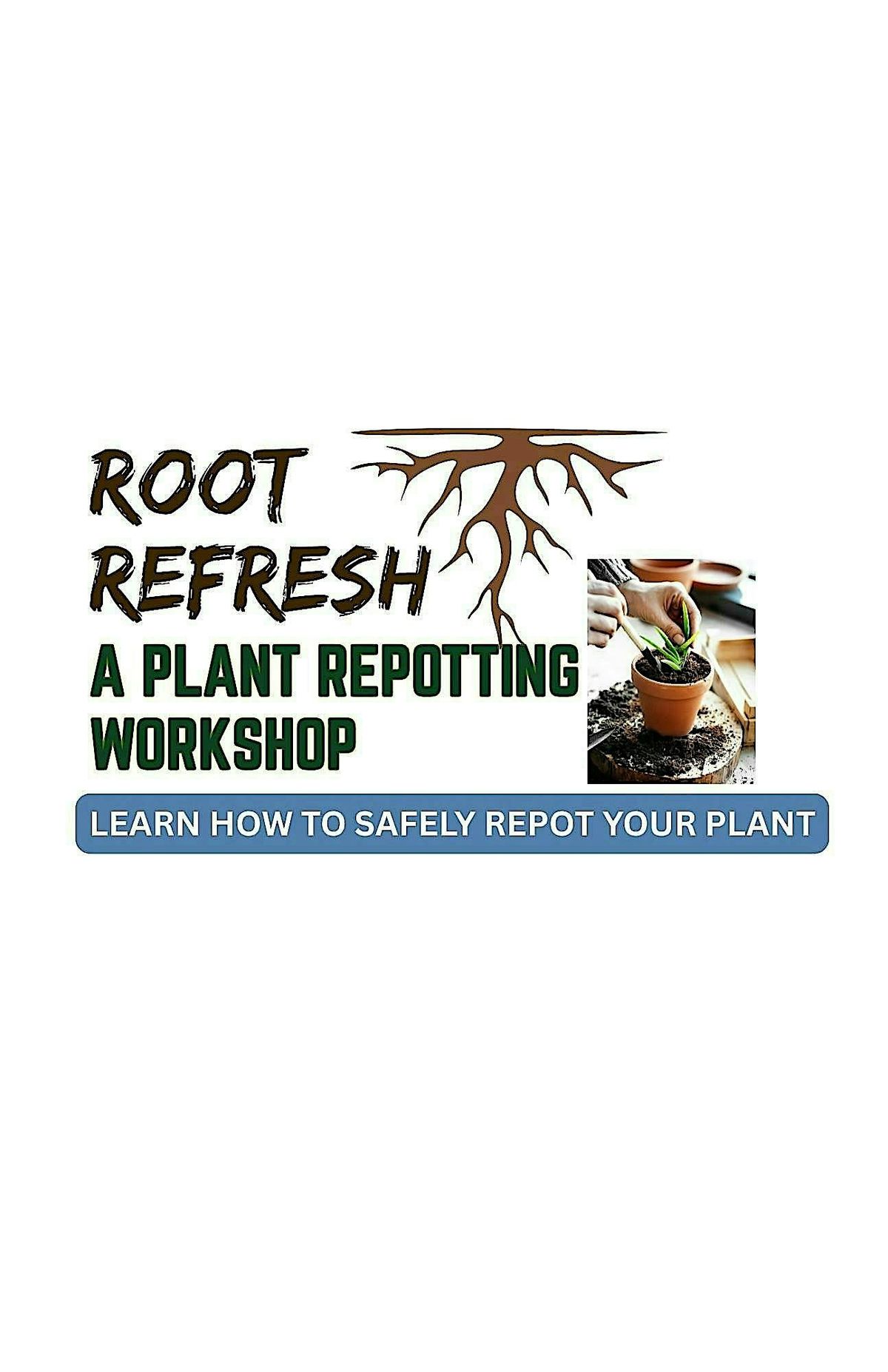 Root Refresh - A Plant Repotting Workshop, 11 October | Event in Palm Bay | AllEvents