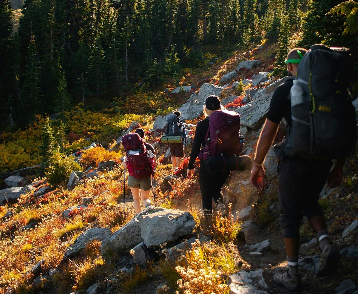 Catskill Park - Devil's Path (Solo hike), 1 November | Event in New York | AllEvents