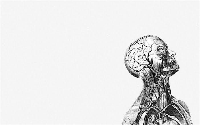 TechDoctor+/ Drive Innovation in Medicine, 1 August | Event in Washington | AllEvents