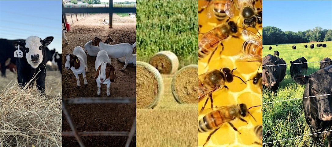 A Beginner's Guide to Agricultural Success | Event in Bonham | AllEvents