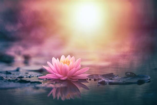 Pure Imagination-Pure Reality; Transforming the World with Mandala Offering, 6 December | Event in West Malling