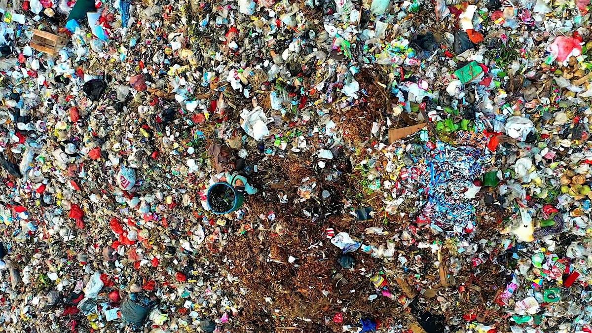 Natural Materials Association Design Competition - Winners Presentation, 11 September | Event in London | AllEvents