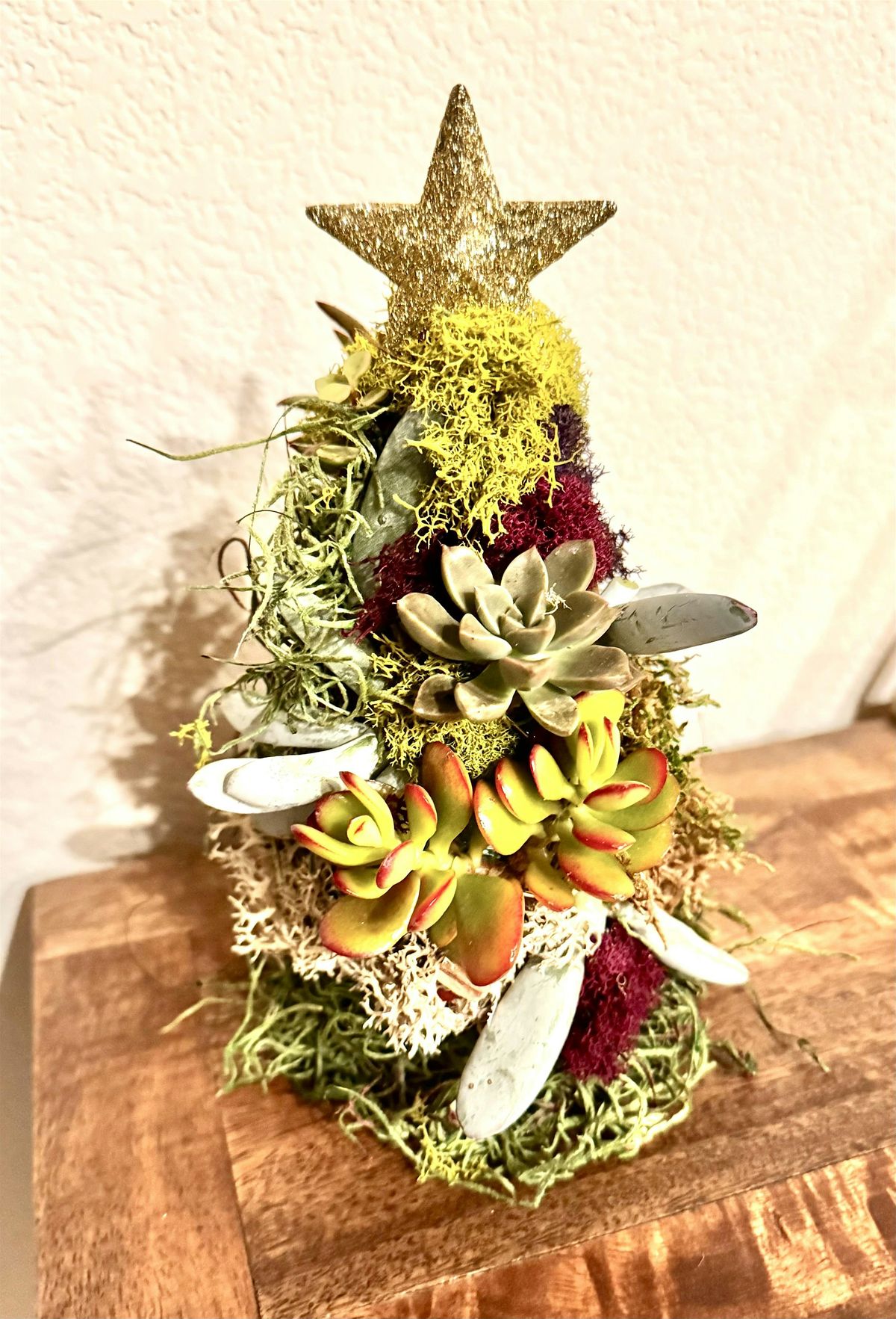 A Starred Succulent Tree DIY, 28 November | Event in Folsom | AllEvents