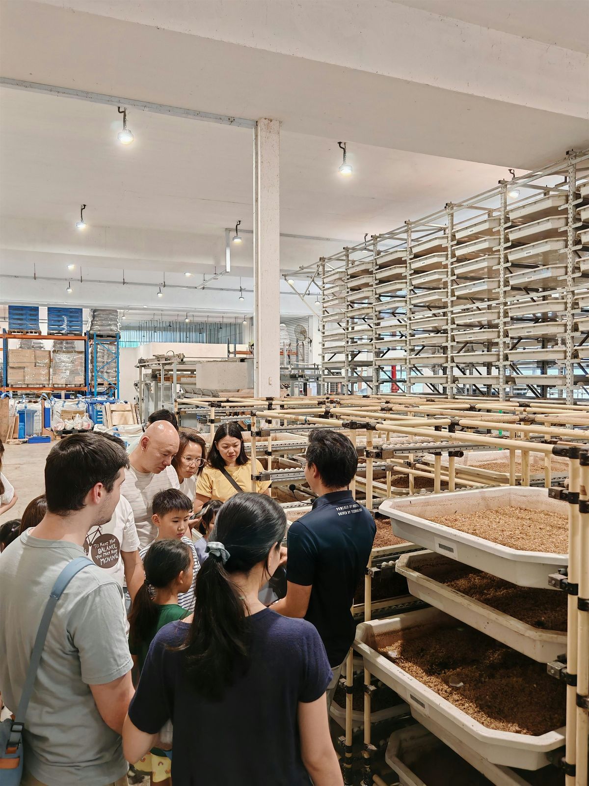 90mins Insect Farm Tour: From Food Waste to Wonder!, 15 Tuas Ave 18A ...