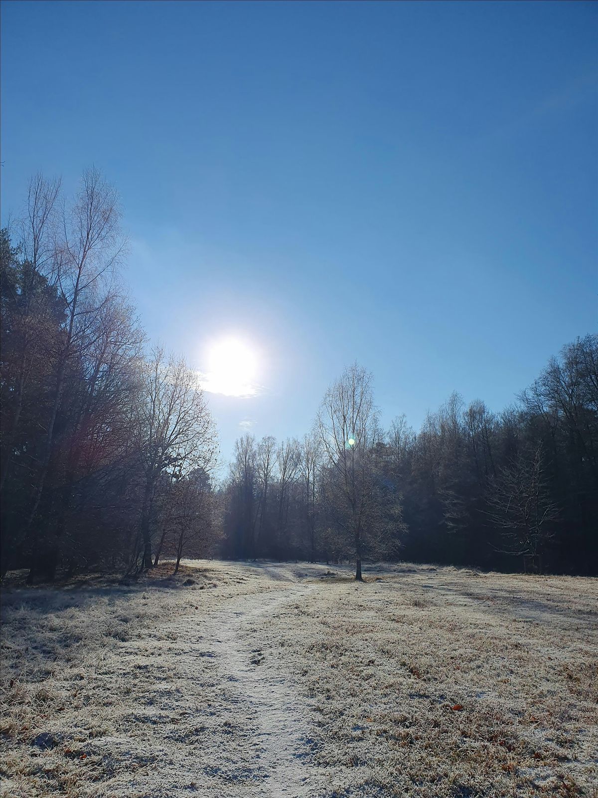 Einfach machen! Ein Coaching-Spaziergang, 16 January | Event in Berlin | AllEvents