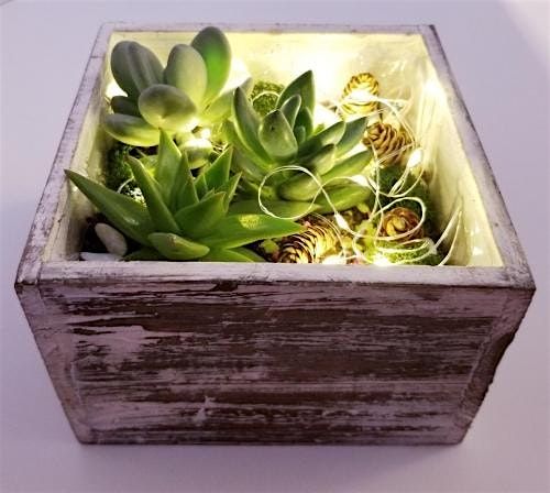 Plant Nite: Make a Succulent Terrarium, 3 December | Event in Pittsburgh | AllEvents
